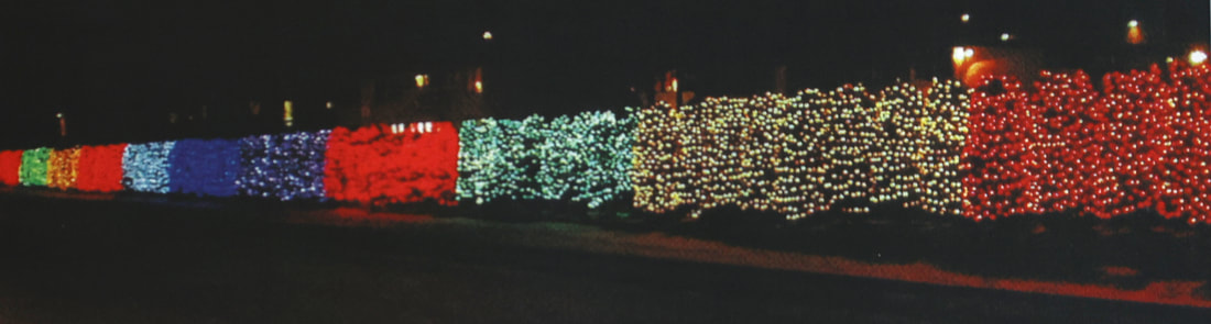 University Avenue Holiday Lights at night
